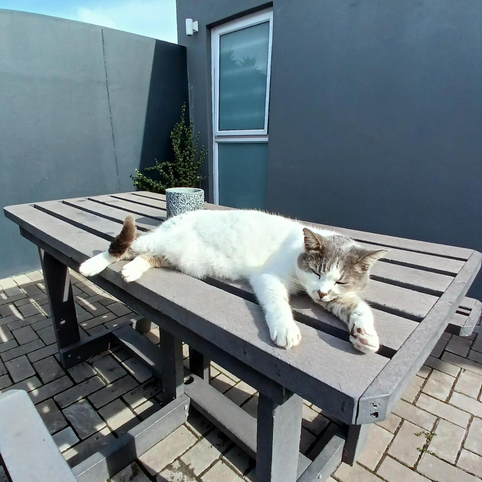 Wanderlust Private Studio Apartment Langebaan Eksteriør bilde